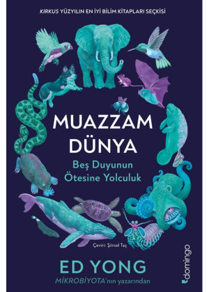 Muazzam Dünya: Beş Duyunun Ötesine Yolculuk